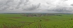 Panorama of the Wine of Vosne-Romanée, Bourgogne