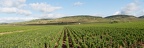 Panorama of the Wine of Beaune, Bourgogne