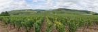 Panorama of the Wine of Meursault, Bourgogne